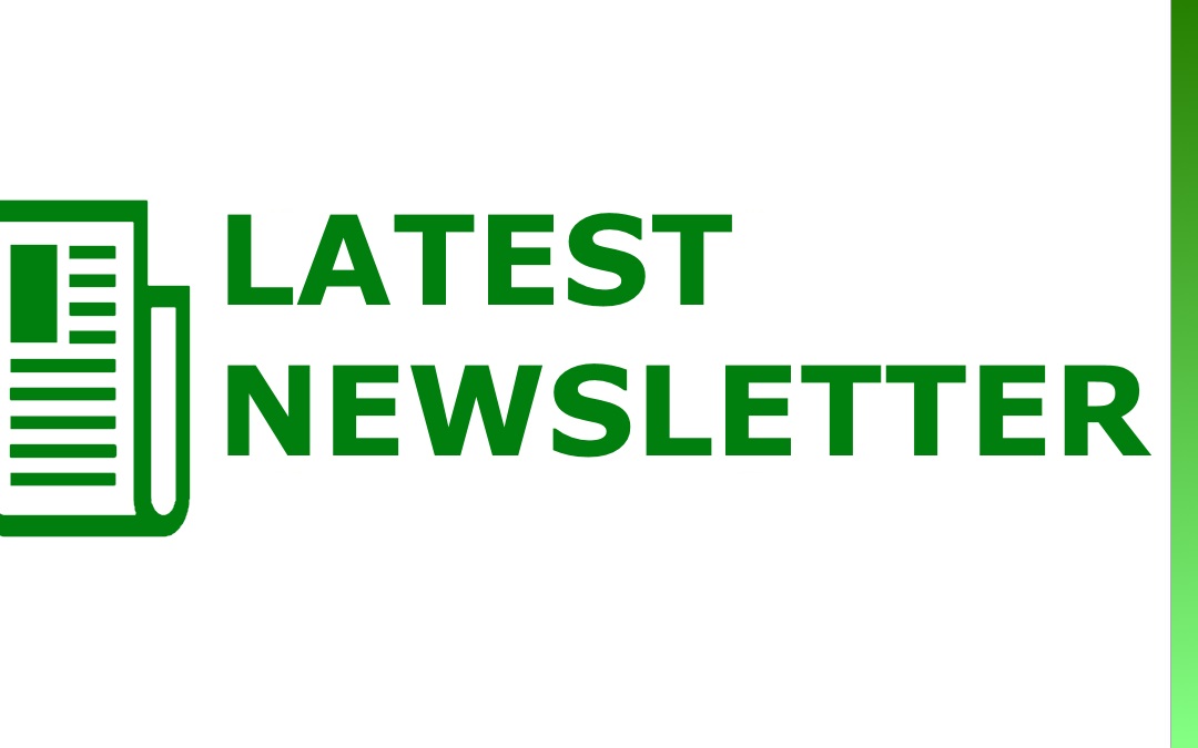 Newsletter – 6th issue.